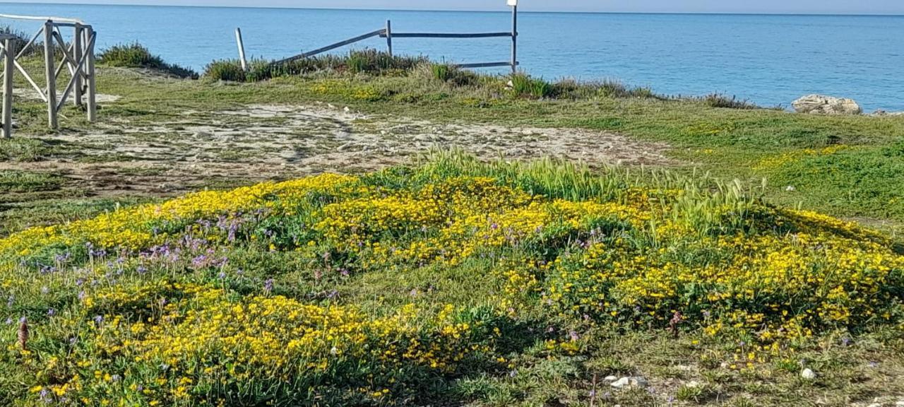 Villino Il Melograno Villa Torre Specchia Ruggeri Eksteriør bilde