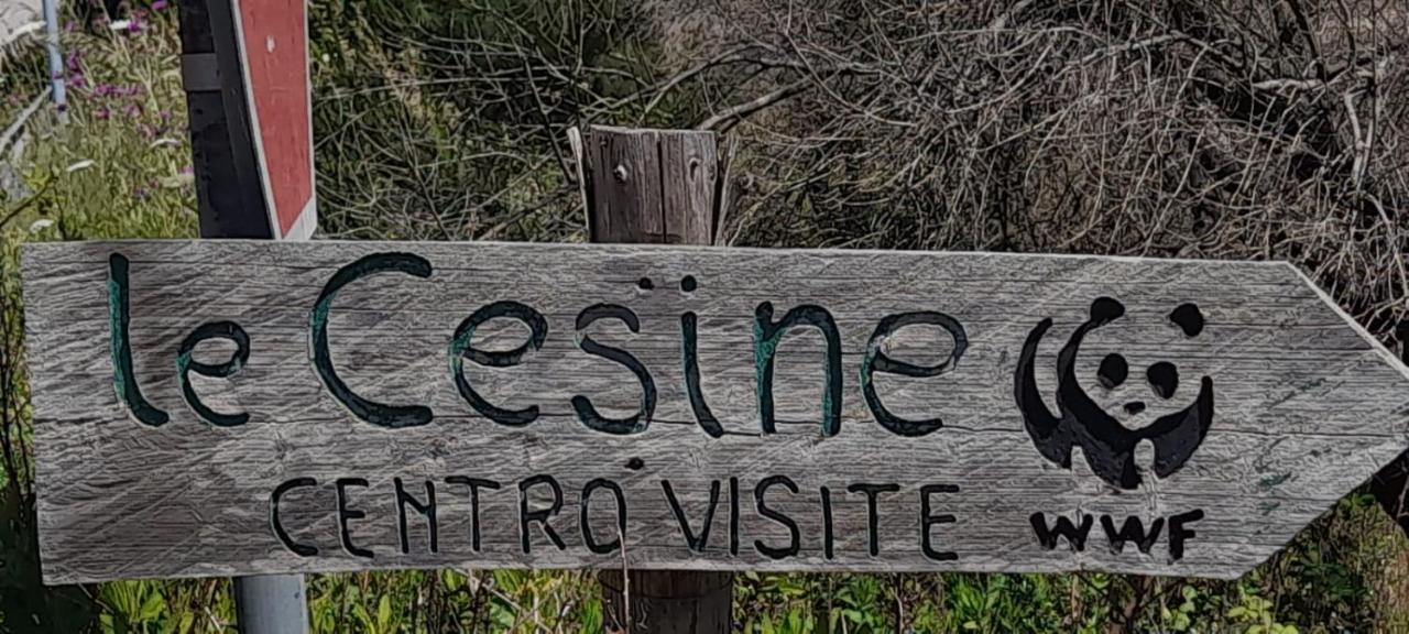 Villino Il Melograno Villa Torre Specchia Ruggeri Eksteriør bilde